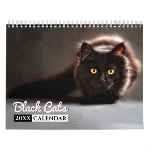 Black Cats 2022 - Calendrier de mur photo