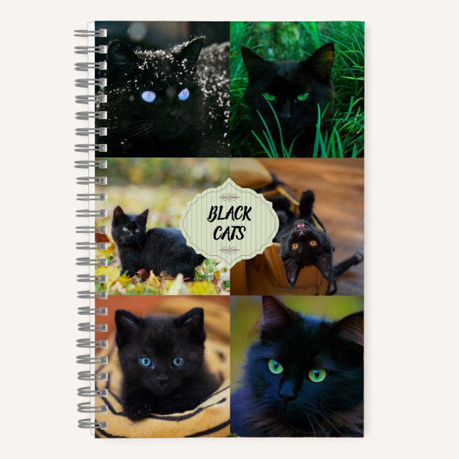 Black Cats Notebook Notizbuch (Vorderseite)