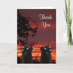 Black Cats Red Sunset Carte de remerciements