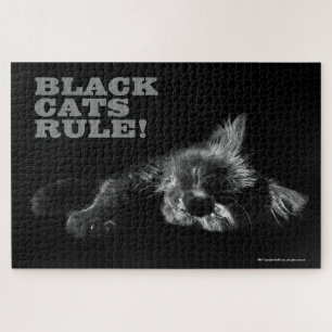 Black Cats Rule - Sleepy Hallo Dunkelheit