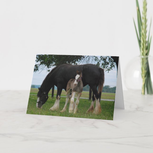 Black Clydesdale und Filly Karte (Vorderseite)