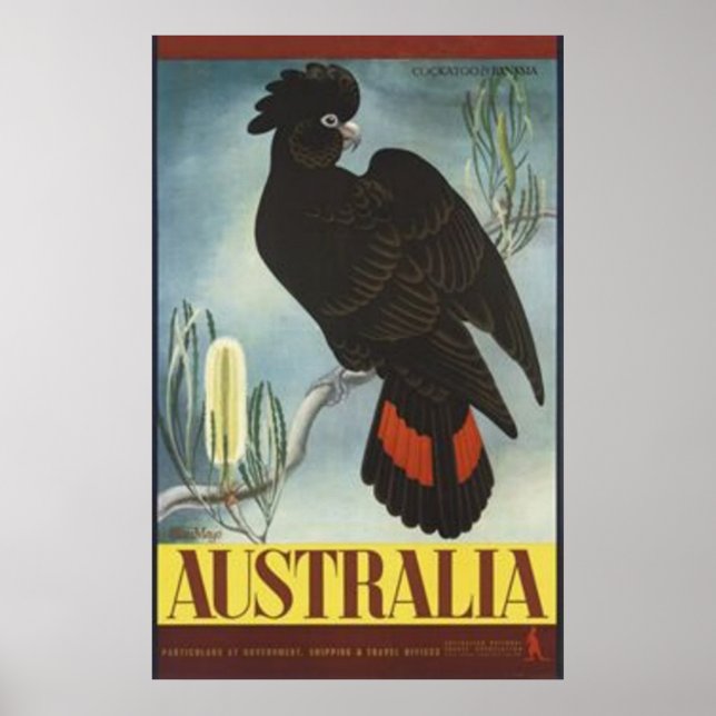 Black Cockatoo Vintage Poster (Vorne)
