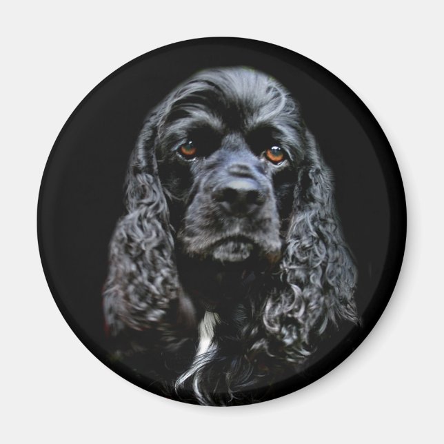 Black Cocker Spanel Magnet (Vorne)