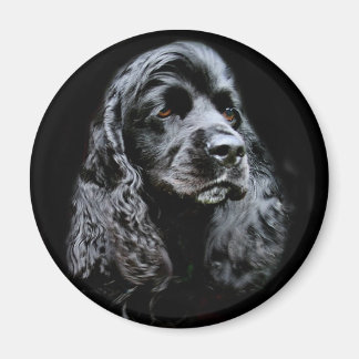 Black Cocker Spanel Magnet