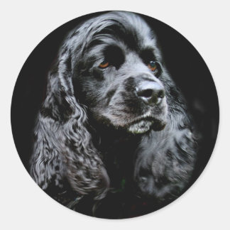 Black Cocker Spanel Runder Aufkleber