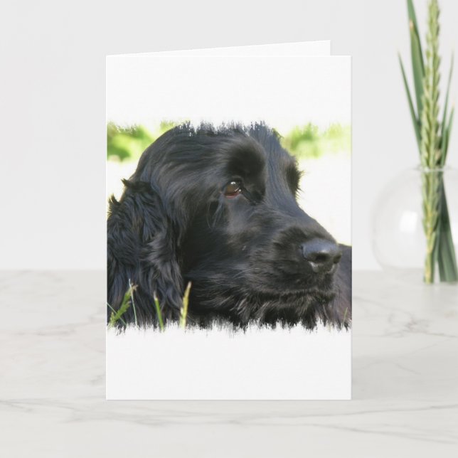 Black Cocker Spaniel Dog Grußkarte Karte (Vorderseite)