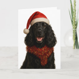 Black Cocker Spaniel Happy Christmas card Karte
