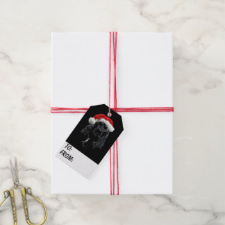Black Cocker Spaniel Weihnachten Geschenkanhänger