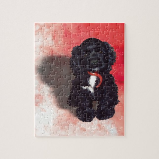 Black Cocker Spanisch Puppy - Abby (Vertikal)