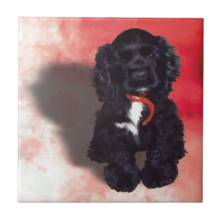 Black Cocker Spanisch Puppy - Abby Fliese