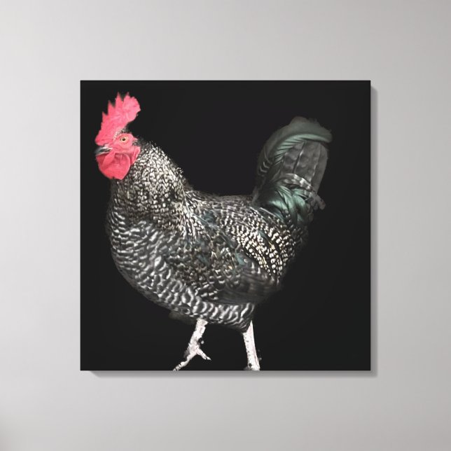 Black Cockerel No. 4 Leinwanddruck (Vorderseite)