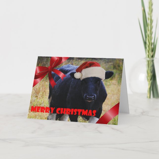 Black Cow Weihnachtskarte Feiertagskarte (Vorderseite)