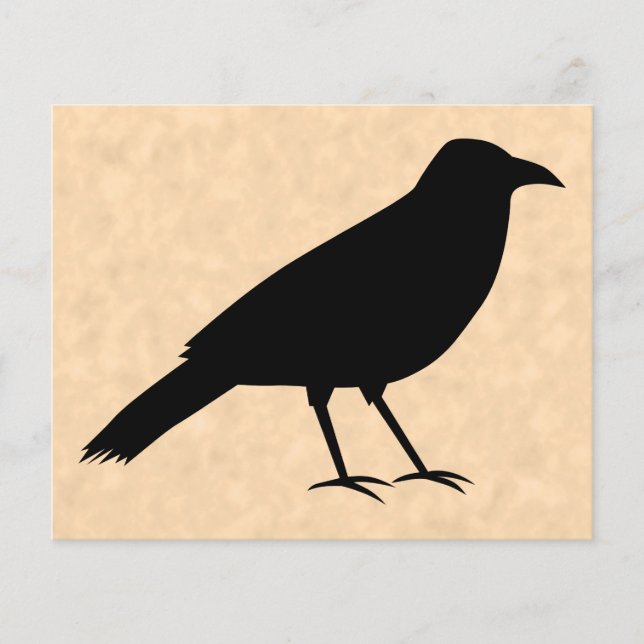 Black Crow Bird auf einem Parchment-Muster. Flyer (Vorne)
