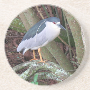 Black Crowned Night Heron Getränkeuntersetzer