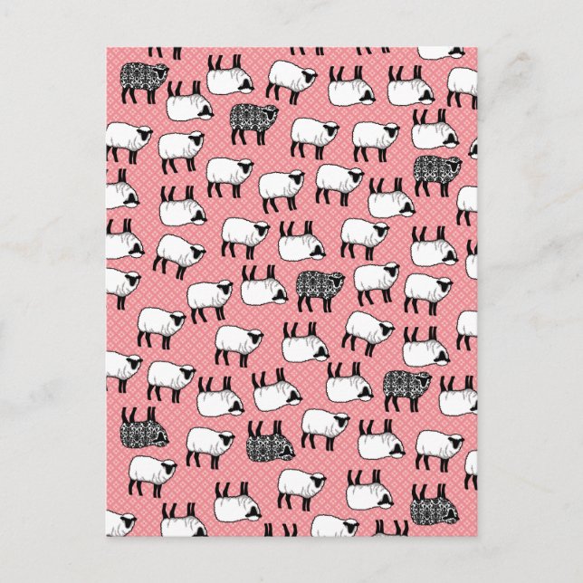 Black Damask Sheep Postkarte (Vorderseite)
