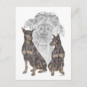 Black Doberman Hunde Postkarte