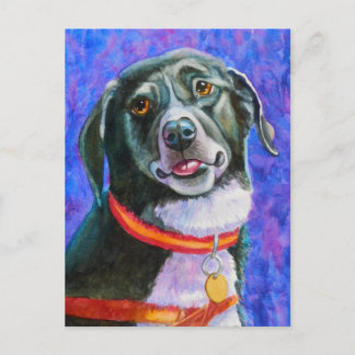 Black Dog Raspberry Postkarte