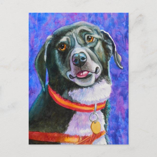 Black Dog Raspberry Postkarte (Vorderseite)