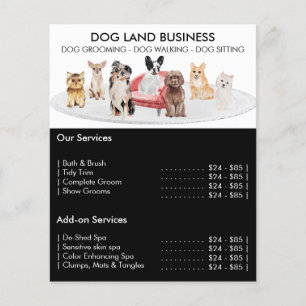 Black Dogs Groomer Sitter Walker Pet Service Angeb Flyer