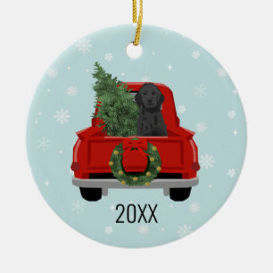Black Doodle Hund Red Christmas Truck Ornament
