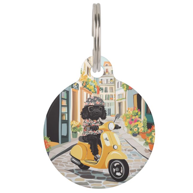 Black Doodle Riding Scooter European City Streets Haustiermarke (Vorderseite)
