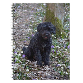 Black English Springer Spaniel Notizblock