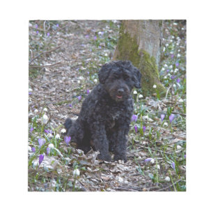 Black English Springer Spaniel Notizblock