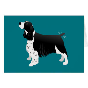 Black English Springer Spanisch Basic Breed Card