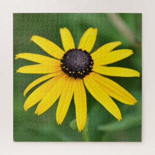 Black Eyed Susan - 20x20 - 676 pcs. Puzzle floral