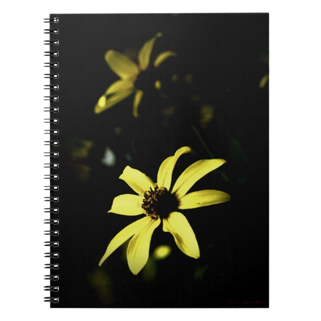 Black Eyed Susan Flowered Carnet Journal (Devant)