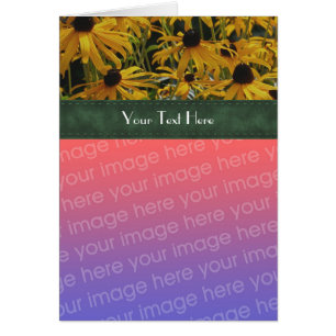 Black Eyed Susan Flowers Votre Carte photo