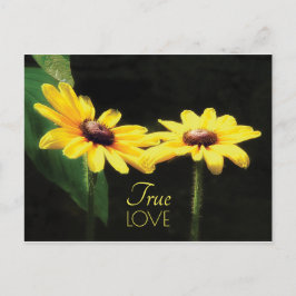 Black Eyed Susan True Love Quote Postkarte