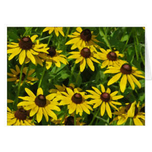 Black-Eyed Susans Art (aquarelle)