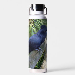 Black Feathers: Australian Black Parrot Trinkflasche