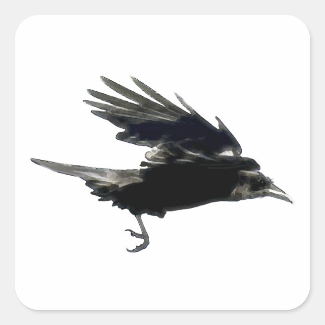 BLACK FLYY CROW Sticker Series (Vorderseite)