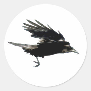 BLACK FLYY CROW Sticker Series