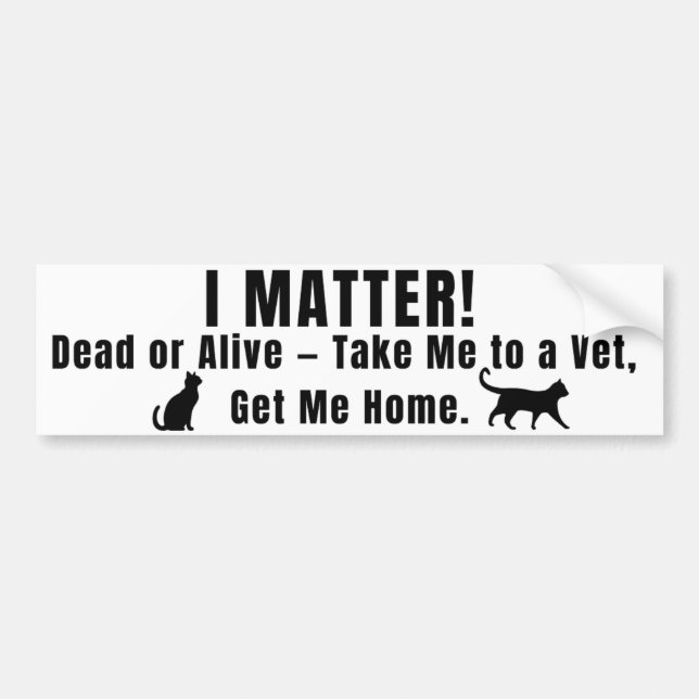 Black Font "I Matter" Bumper Sticker (Devant)