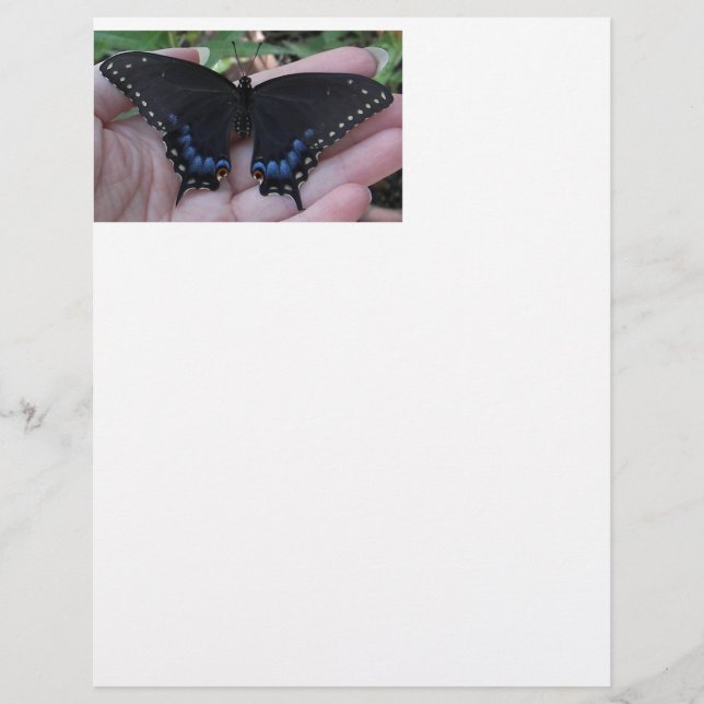 Black Frack Butterfly #1-letterhead (Vorderseite)