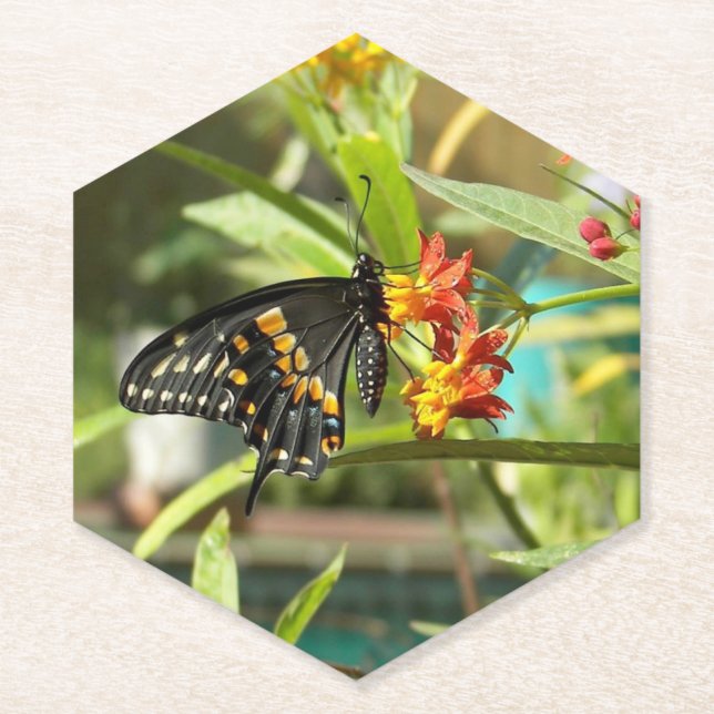 Black Frack Butterfly #2 Untersetzer (Vorderseite)