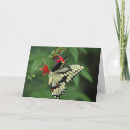 Black Frack Butterfly Blank Grußkarte Dankeskarte