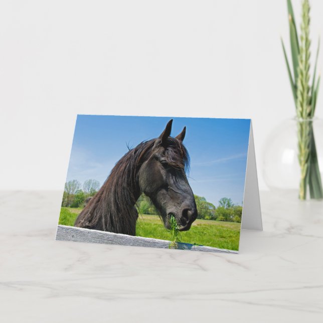 Black Friesian Horse Birthday Karte (Vorderseite)