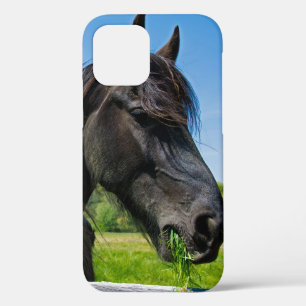 Black Friesian Horse Case-Mate iPhone Hülle