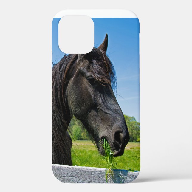 Black Friesian Horse Case-Mate iPhone Hülle (Rückseite)