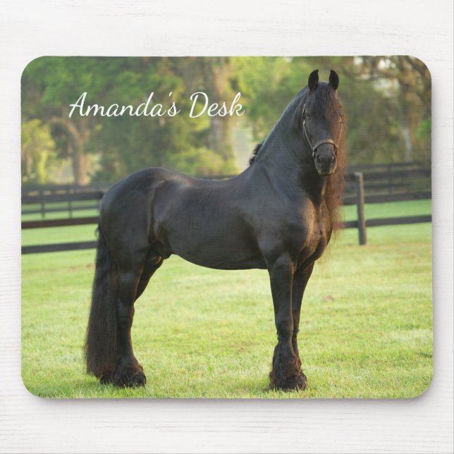 Black Friesian Horse Foto Desk Mousepad (Vorne)