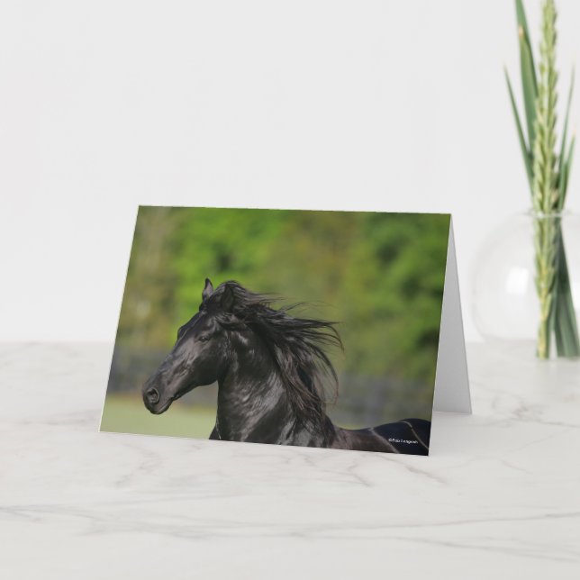 Black Friesian Horse Stallion Headshot Karte (Vorderseite)