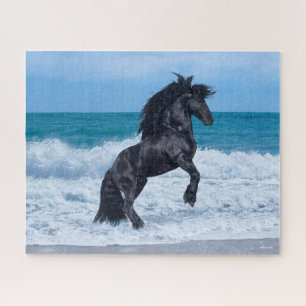 Black Friesian Stallion Rearing In the Sea