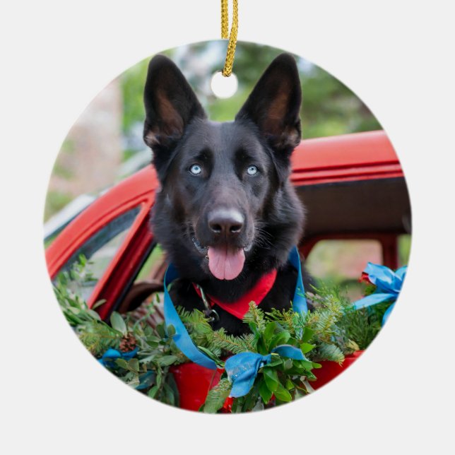 Black German Shephard mit Blue Eyes Ornament (Vorne)
