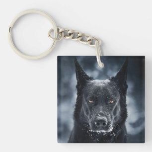 Black German Shepherd