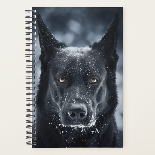 Black German Shepherd (Devant)