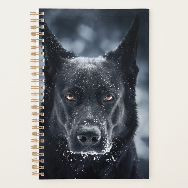 Black German Shepherd (Devant)